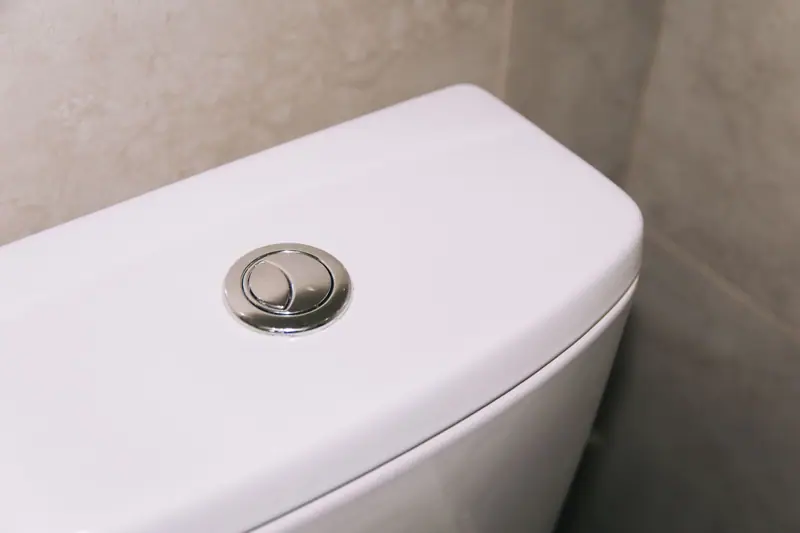 Dual flush button on a modern toilet tank